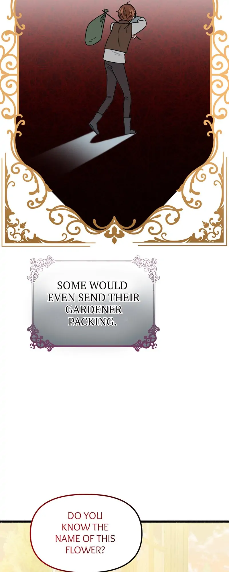 32997662 800 2000 62778