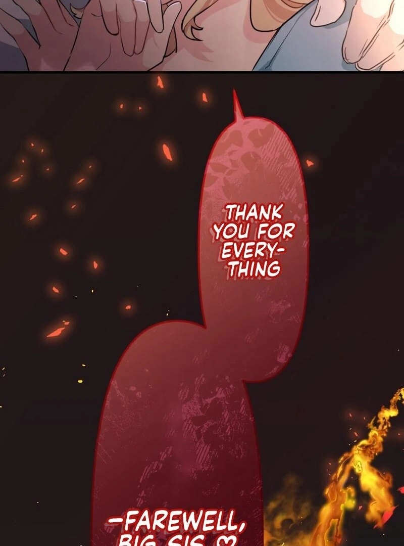 67008497 800 1080 94724